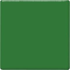 Amaco Color Teachers Palette Glaze Frog Green Amaco Color Teachers Palette Glaze Frog Green