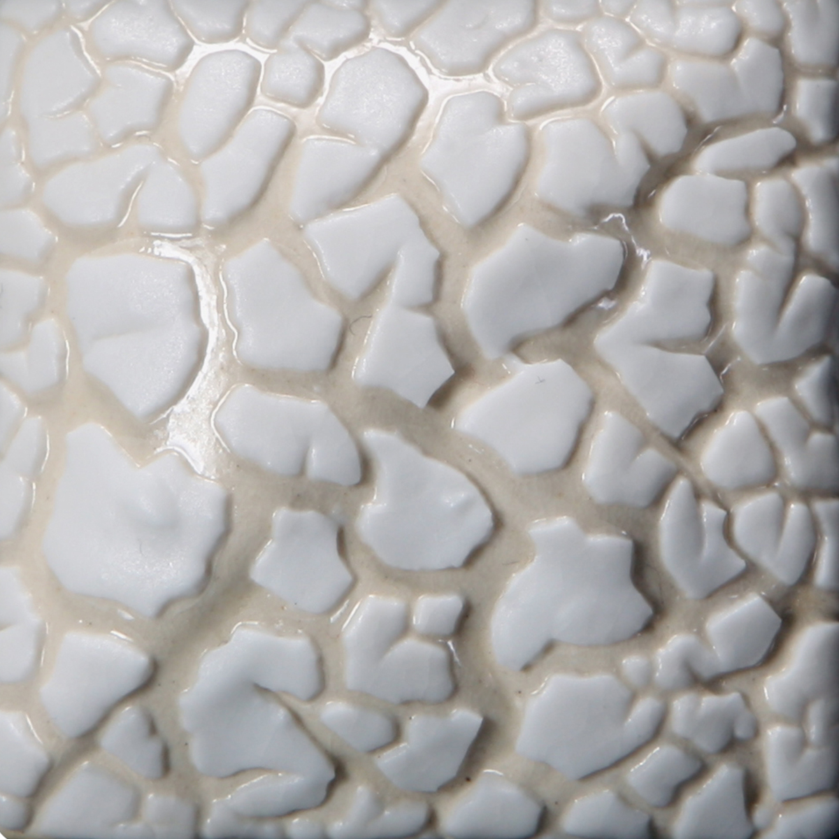 Mayco Color Stoneware Texture White Mudcrack