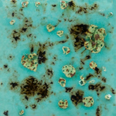 Mayco Color Jungle Gems Blue Guppy