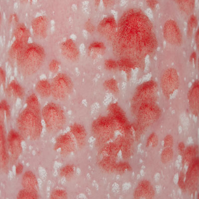 Mayco Color Jungle Gems Peppermint Twist