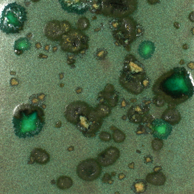 Mayco Color Jungle Gems Alligator