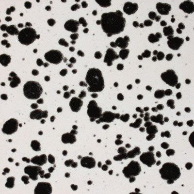 Mayco Color Jungle Gems Ink Spots