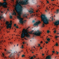 Mayco Color Jungle Gems Coral Puff