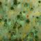 Mayco Color Jungle Gems Herb Garden