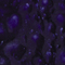 Mayco Color Jungle Gems Celestial Blue