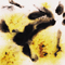 Mayco Color Jungle Gems Cheetah