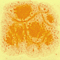 Mayco Color Jungle Gems Citrus Splash