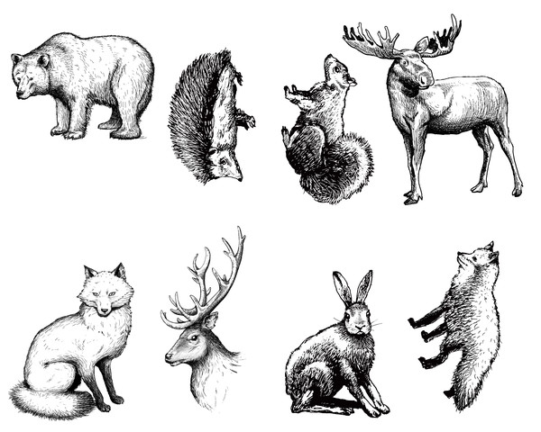 Mayco Silk Screen Woodland Animals Mayco Silk Screen Woodland Animals