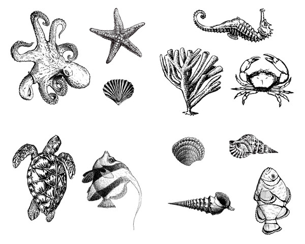 Mayco Silk Screen Sea Life Mayco Silk Screen Sea Life
