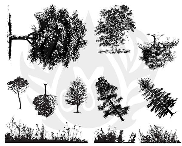 Mayco Silk Screen Botanical Trees and Grass Mayco Silk Screen Botanical Trees and Grass