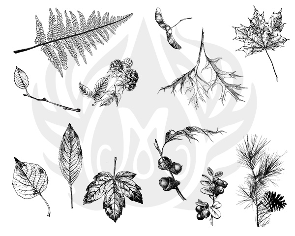 Mayco Silk Screen Botanical Leaves Mayco Silk Screen Botanical Leaves