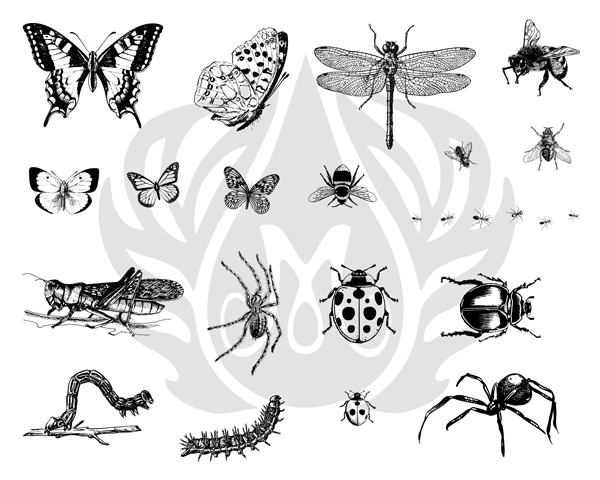 Mayco Silk Screen Bugs Mayco Silk Screen Bugs