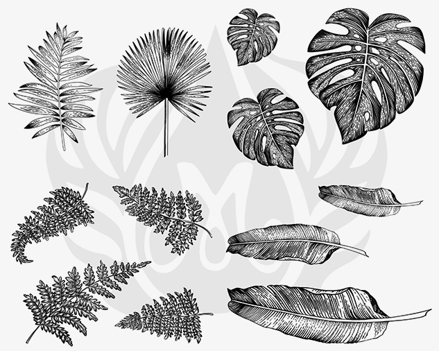 Mayco Silk Screen Tropical Leaves Mayco Silk Screen Tropical Leaves