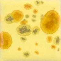 Mayco Color Jungle Gems Haystack