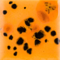 Mayco Color Jungle Gems Papaya