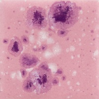 Mayco Color Jungle Gems Pink Plum