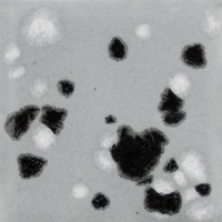 Mayco Color Jungle Gems Asteroid